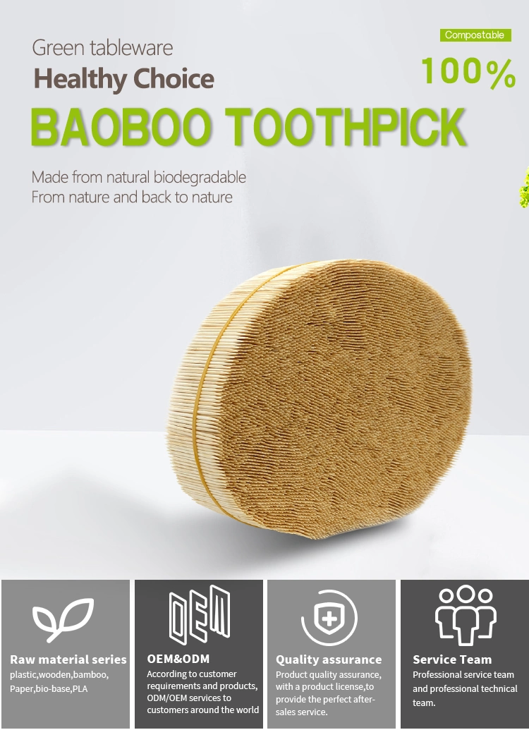 Toothpicks Custom Design Disposable Bamboo Tableware 65mm Length Bamboo Toothpicks for Dinner