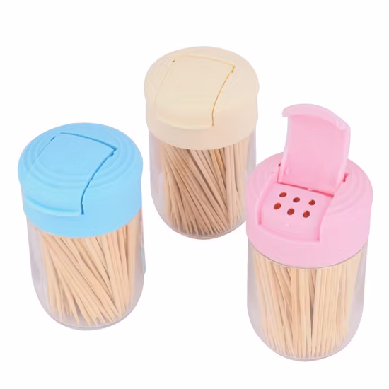 Good Quality Bamboo Toothpick Disposable Custom in Plastic Tube