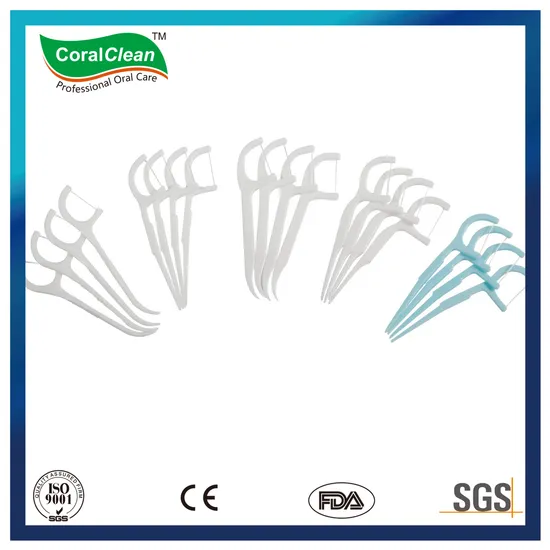 Plastic Box Packing Disposable Dental Floss Toothpick