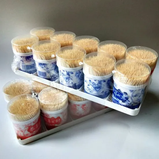 Wholesale of New Products Manufacture Packe with Plastic Container Plastic Toothpick New 