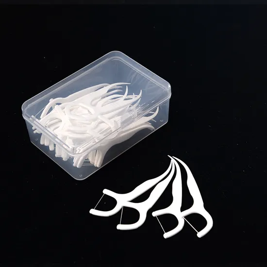 Portable Toothpicks Box Dental Floss Box Plastic Storage Box with Lid 